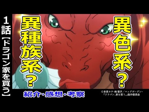 ドラゴン 家を買う １話感想 異種族ライフの旅巡り Anime Wacoca Japan People Life Style