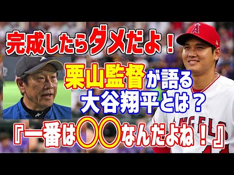 日本の良きちゃんねる Baseball Wacoca Japan People Life Style