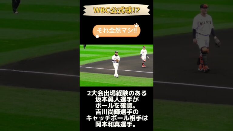 【WBC公式球⁉︎】坂本勇人と吉川尚輝がボールの感触を確かめる【好感触⁉︎】#Shorts