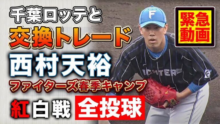 【交換トレード】ロッテ移籍の西村天裕投手！春季キャンプ紅白戦での全投球＜2/5ファイターズ春季キャンプ2023＞