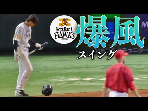 当たったらどこまで飛んでいくのか…。爆風を感じるHAWKS 笹川吉康選手のフルスイング！《2023オープン戦vs広島東洋カープ》