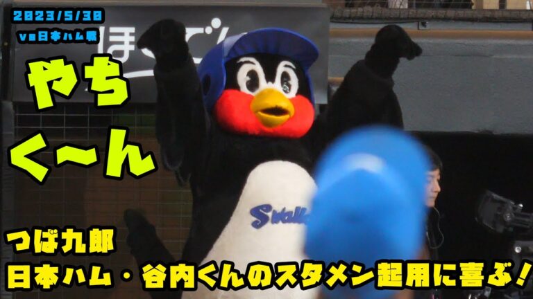 つば九郎　日本ハム・谷内くんのスタメン起用に喜ぶ！！　2023/5/30 vs日本ハム