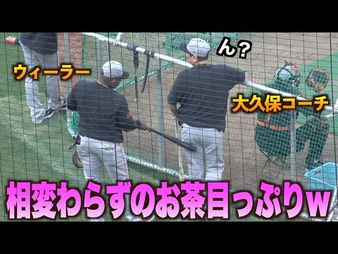 ケツバットww大久保博元に亀井善行らコーチ陣と面白おかしく接するウィーラーwww#広島#カープ#読売#ジャイアンツ#巨人