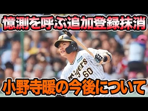 【流石に可哀想の声噴出!?】小野寺暖が追加抹消で様々な憶測を呼んでる件について.. 超最新の両翼入れ替え候補を徹底考察【阪神タイガース】