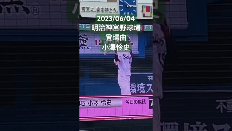 【登場曲】小澤怜史(東京ヤクルトスワローズ) #セリーグ #プロ野球 #明治神宮球場 #東京ヤクルトスワローズ #登場曲  #小澤怜史