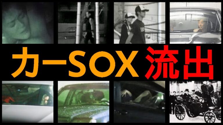 カーSOXが流出した芸能人12選