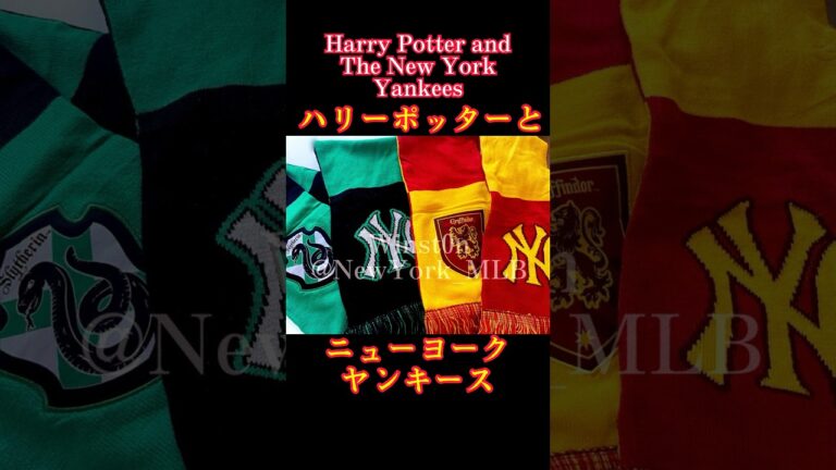 【現地映像】ハリーポッターとニューヨークヤンキース〜コラボデー！ジャッジ大人気！相手はスリザリン(アストロズ)Harry Potter and New York Yankees