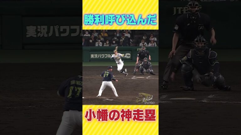 【忍者走塁】勝負を決めた小幡の神走塁を色んな角度から！ #阪神タイガース #虎バン #プロ野球 #小幡 #神走塁 #shorts