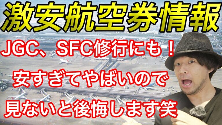 【JAL、ANA修行にも使える！】年末年始のイスタンブールが5万円台！激安航空券情報 11月24日版