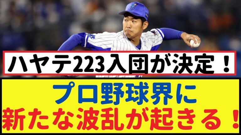 元DeNA池谷と田中健二朗、ハヤテ223入団が決定！プロ野球界に風穴を開ける！【なんJ反応】