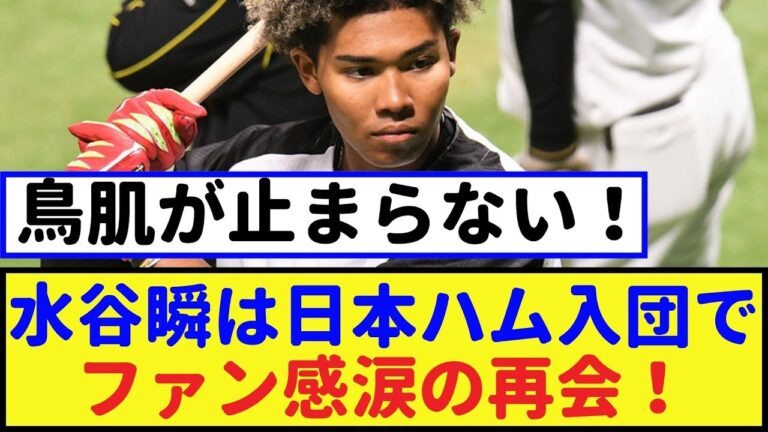 水谷瞬は日本ハム入団でファン感涙の再会！鳥肌が止まらない！【2chなんｊ・なんJ反応】