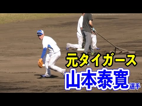 【安定した守備】元タイガースの山本泰寛選手がサブグラウンドでノックを受ける！2024/02/02