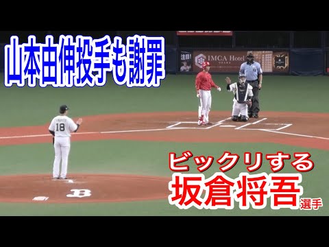 【返球がバットに当たってしまう】今のストライクか〜と思っている坂倉将吾選手に若月健矢捕手の返球が当たってしまう→その後の返球も…