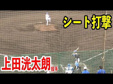 【読谷キャンプ】上田洸太朗投手がシート打撃に登板！2024/02/07