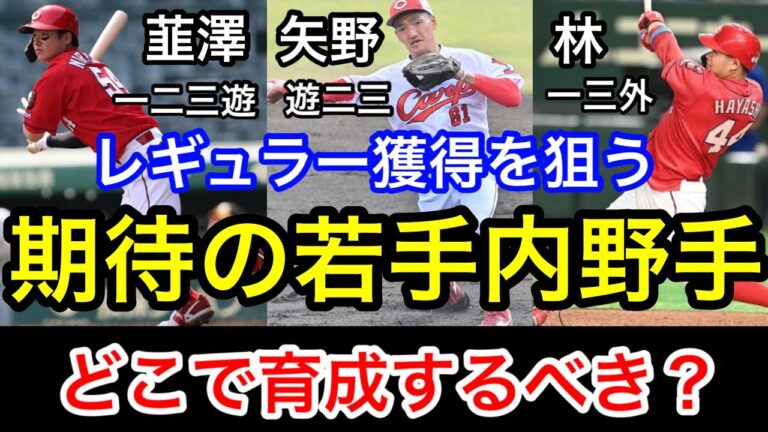 カープ若手内野手の3人。どのポジションで育成するべきなのか考察します。韮澤雄也。矢野雅哉。林晃汰。