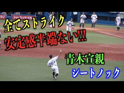 ベテランの安定感！すべてストライク送球をする青木宣親のシートノック【東京ヤクルトスワローズ】