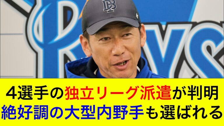 【絶好調のあの選手も派遣先へ】ファーム出場中の4選手の独立リーグ派遣が判明！打率4割越えの選手やドラフト3位のあの選手も【横浜DeNAベイスターズ】