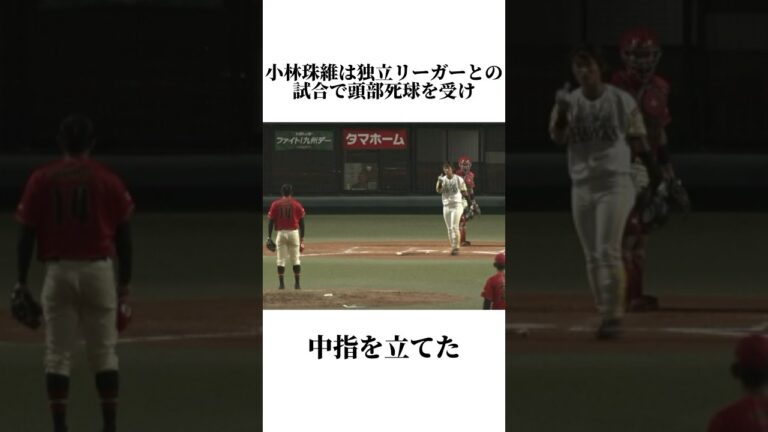 【実は天才⁉︎】小林珠維に関する雑学　#雑学 #ソフトバンク #プロ野球