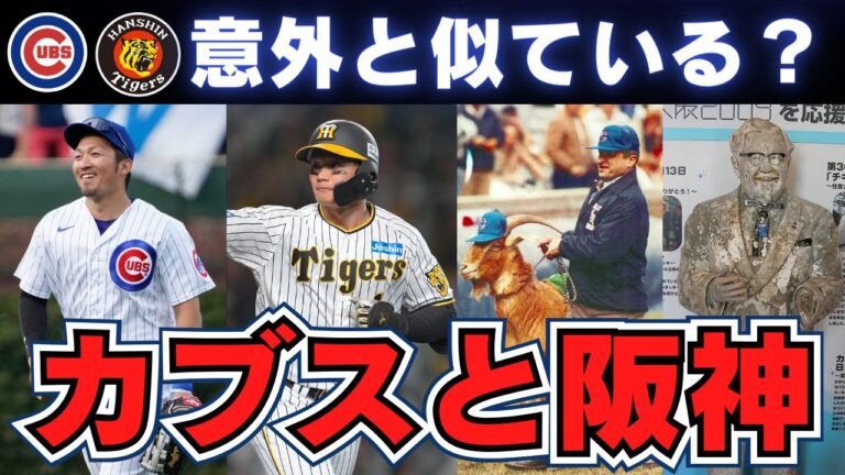 【MLB】シカゴ・カブスと阪神タイガースの共通点！意外な繋がりも！？新規ファン必見！