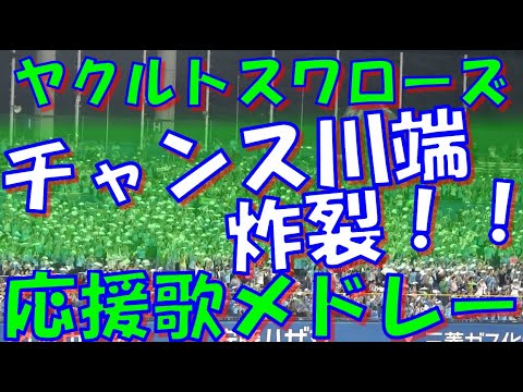 【ツバメを勝利へ導け～チャンス川端炸裂！】東京ヤクルトスワローズ 応援歌 & チャンステーマメドレー｜ vs 広島東洋カープ 2024.07.27