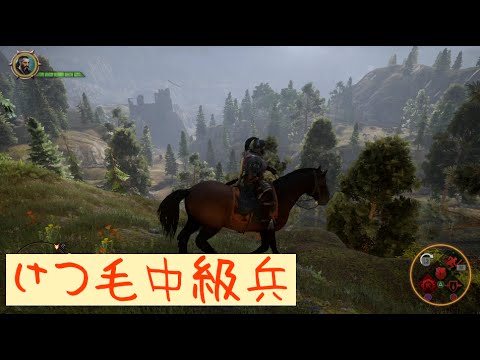 ドラゴンエイジ インクイジション 実況 番外編 ゲームシステムや個人的感想 Ps4 Dragon Age Inquisition けつ毛 3 Games Wacoca Japan People Life Style