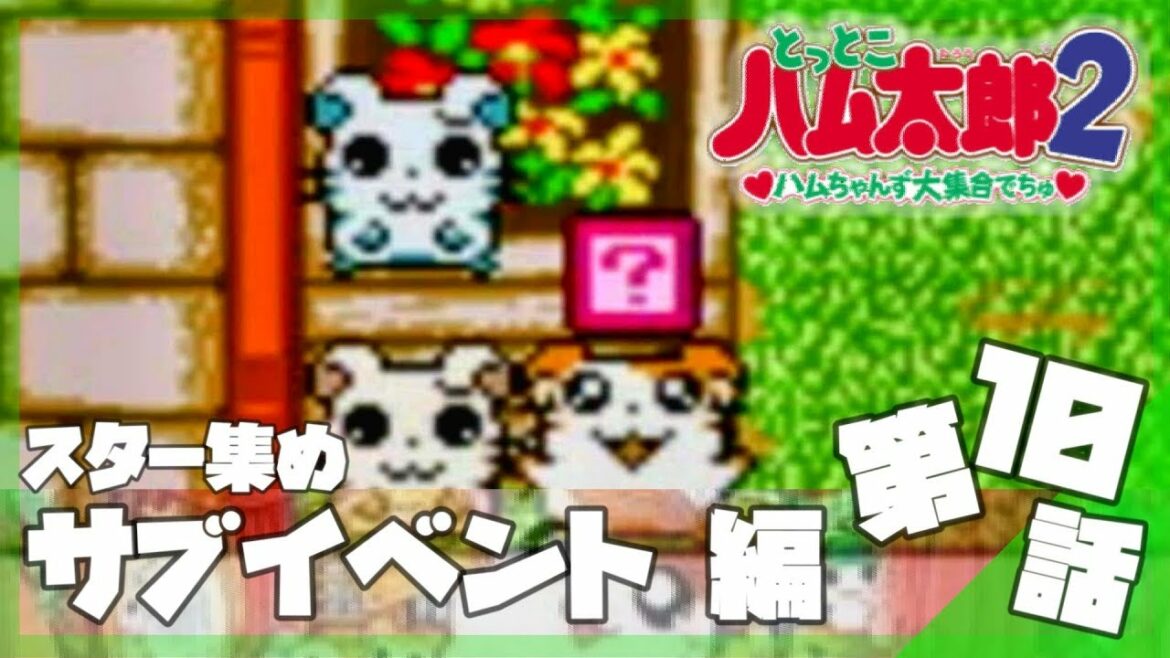 サブイベント スター集め 今からはじめる とっとこハム太郎2 ハムちゃんず大集合でちゅ 実況プレイ Part10 とっとこハム太郎 Games Wacoca Japan People Life Style