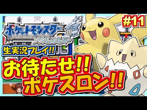 独特な店 ポケットモンスター ソウルシルバー ポケモン Ss 携帯用ゲームソフト