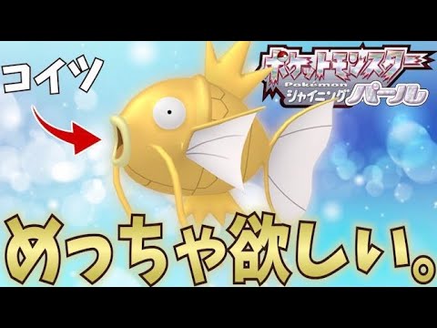 ポケモン ダイパリメイク 金のコイキングを出したい 4 神回を作る 色違い Games Wacoca Japan People Life Style