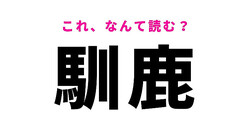 【馴鹿】はなんて読む？大人気の動物を表わす難読漢字！