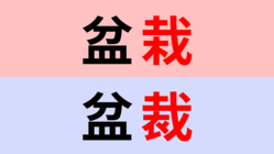 【漢字クイズ】「盆栽」or「盆裁」正解はどっち？
