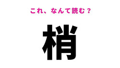 【梢】の読み方はなに？枝の先っぽを意味します！