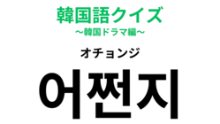 「어쩐지（オチョンジ）」の意味は？わかった人は韓国語ネイティブレベル！？