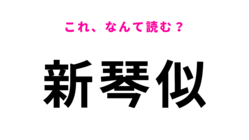 駅名「新琴似」はなんて読む？初めて見た人必答！