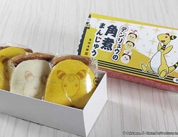 ながさき未来応援ポケモン｢デンリュウ｣と、『長崎角煮まんじゅう』がコラボ♡