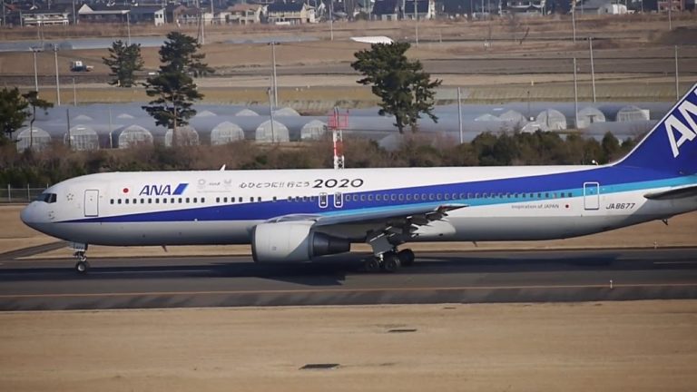 仙台空港 ａｎａ 大阪伊丹空港 特別デカール機 東京オリンピックパラリンピック 全日空 News Wacoca Japan People Life Style