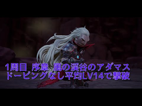 ブレイブリーデフォルト2 負けイベント 1周目序章 風の渓谷のアダマスを平均lv14で撃破 ドーピングなし News Wacoca Japan People Life Style