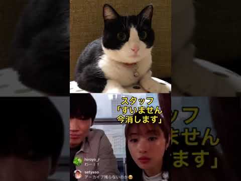 綾野剛 石原さとみ 見知らぬ猫にリクエスト送信してしまう News Wacoca Japan People Life Style
