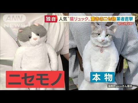 写真と違う 話題の 猫リュック ニセモノ業者直撃 羽鳥慎一 モーニングショー 21年6月11日 News Wacoca Japan People Life Style