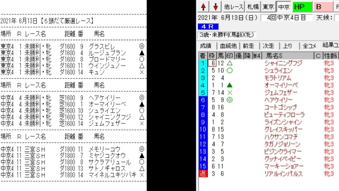 競馬予想メールマガジン配信結果 2021年6月13日 5頭BOX 3戦2勝 - News ...