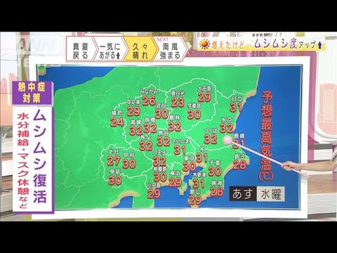 関東の天気 各地で30 超 久々の太陽で洗濯もok 21年8月17日 News Wacoca Japan People Life Style