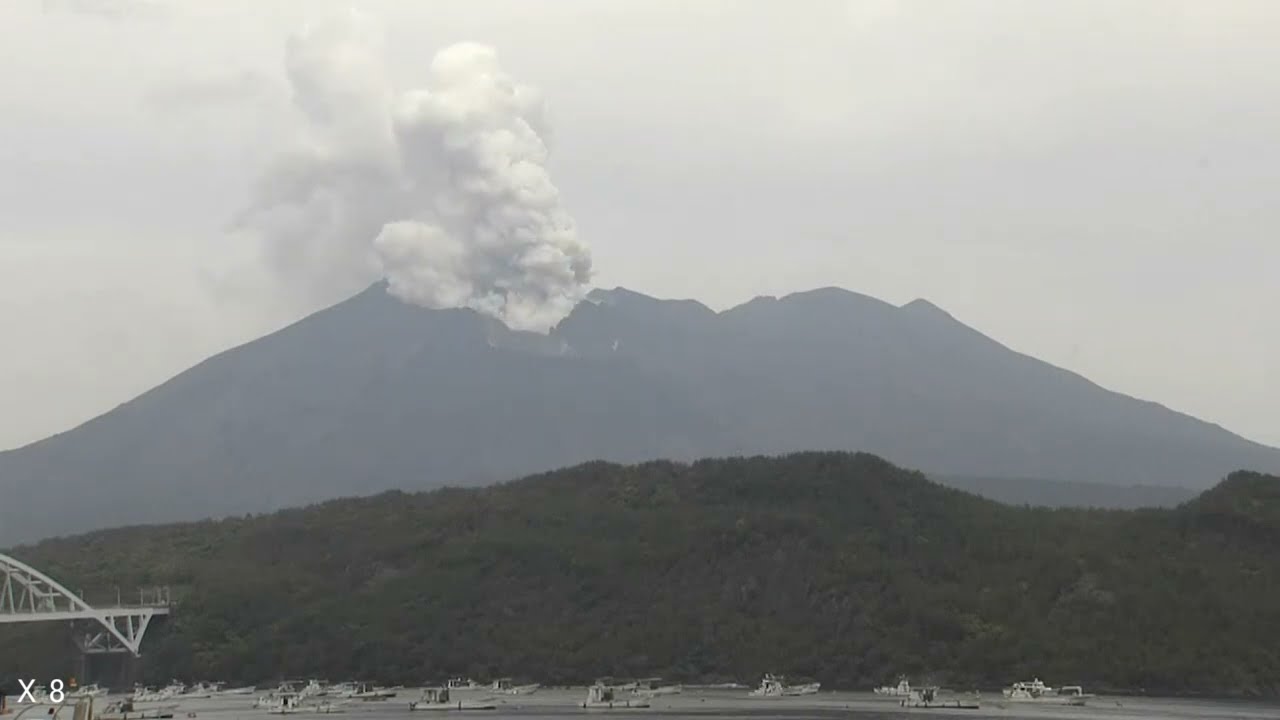 沖縄本島 シュノーケリング