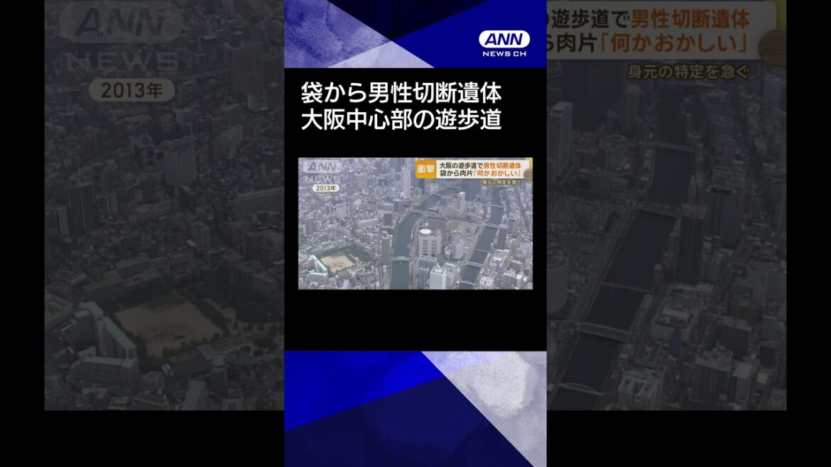 【ニュース】大阪・堂島川沿いの遊歩道で男性切断遺体　植え込み放置の袋から肉片 #shorts