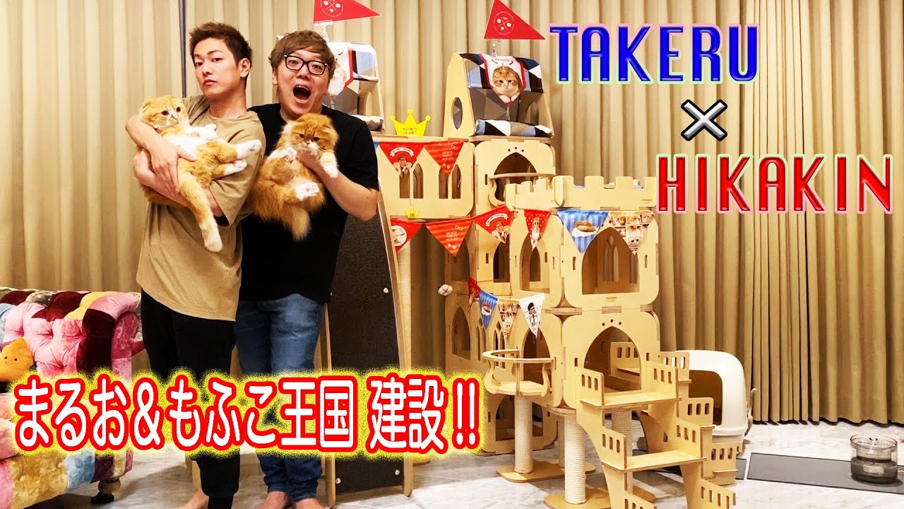 佐藤健 Takeru Satoh: 「Takeru×Hikakin / まるお＆もふこに猫のお城を 