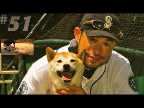 追悼 イチローが愛犬の一弓 いっきゅう が亡くなったことを告白 享年17歳 Videos Wacoca Japan People Life Style