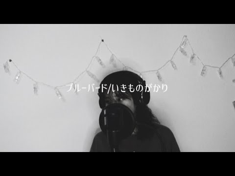 歌ってみた アニメnaruto主題歌 ブルーバード いきものがかり Cover Videos Wacoca Japan People Life Style