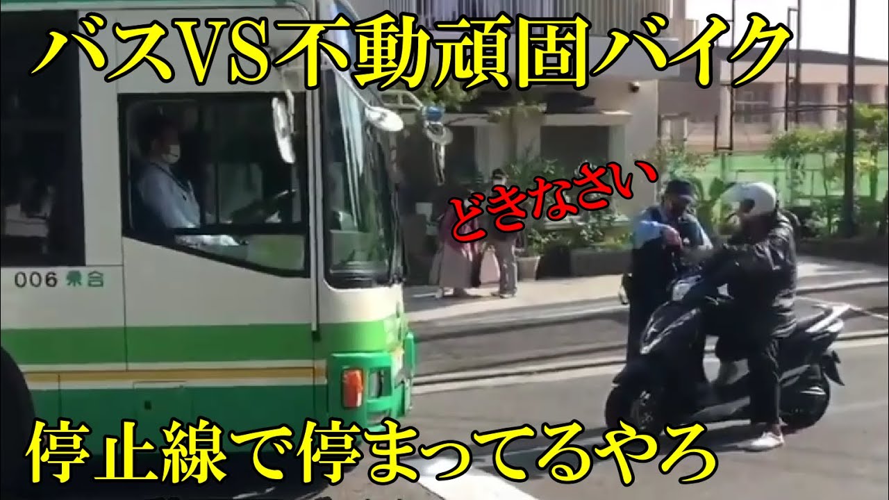 バスvs不動頑固バイク 停止線で停まってるやろ ドラレコ 煽り運転まとめ Traffic Accident In Japan Videos Wacoca Japan People Life Style