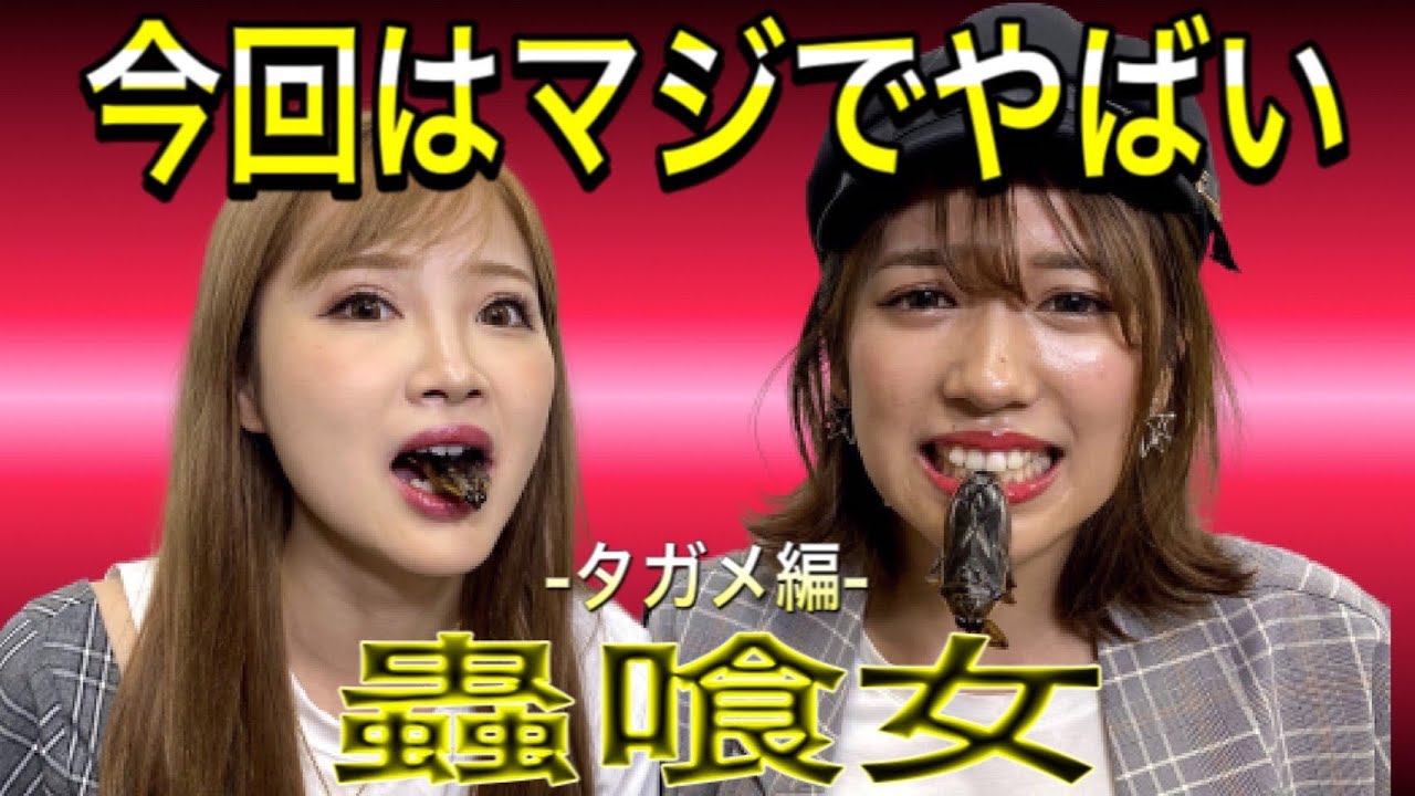昆虫食 絶滅危惧種のタガメを食べる罰ゲーム Videos Wacoca Japan People Life Style