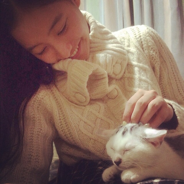 新木優子: かわいこちゃん2匹に癒されてきた〜 #cat #love #shiro 