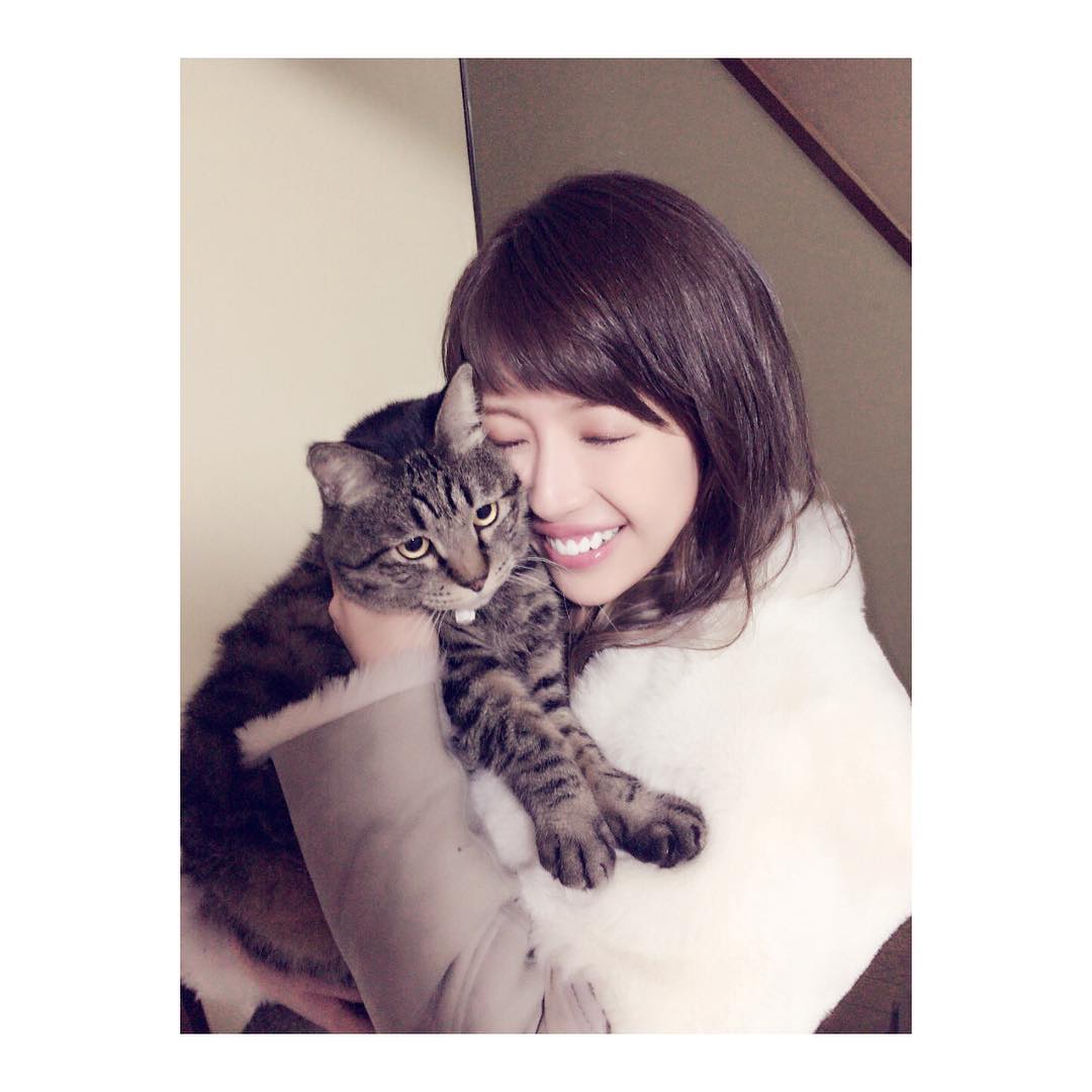 舟山久美子 昨日は久々に実家の猫の メイちゃんに会ったよ はぁー猫吸いしやした 癒される Cat Love メイちゃん Wacoca Japan People Life Style