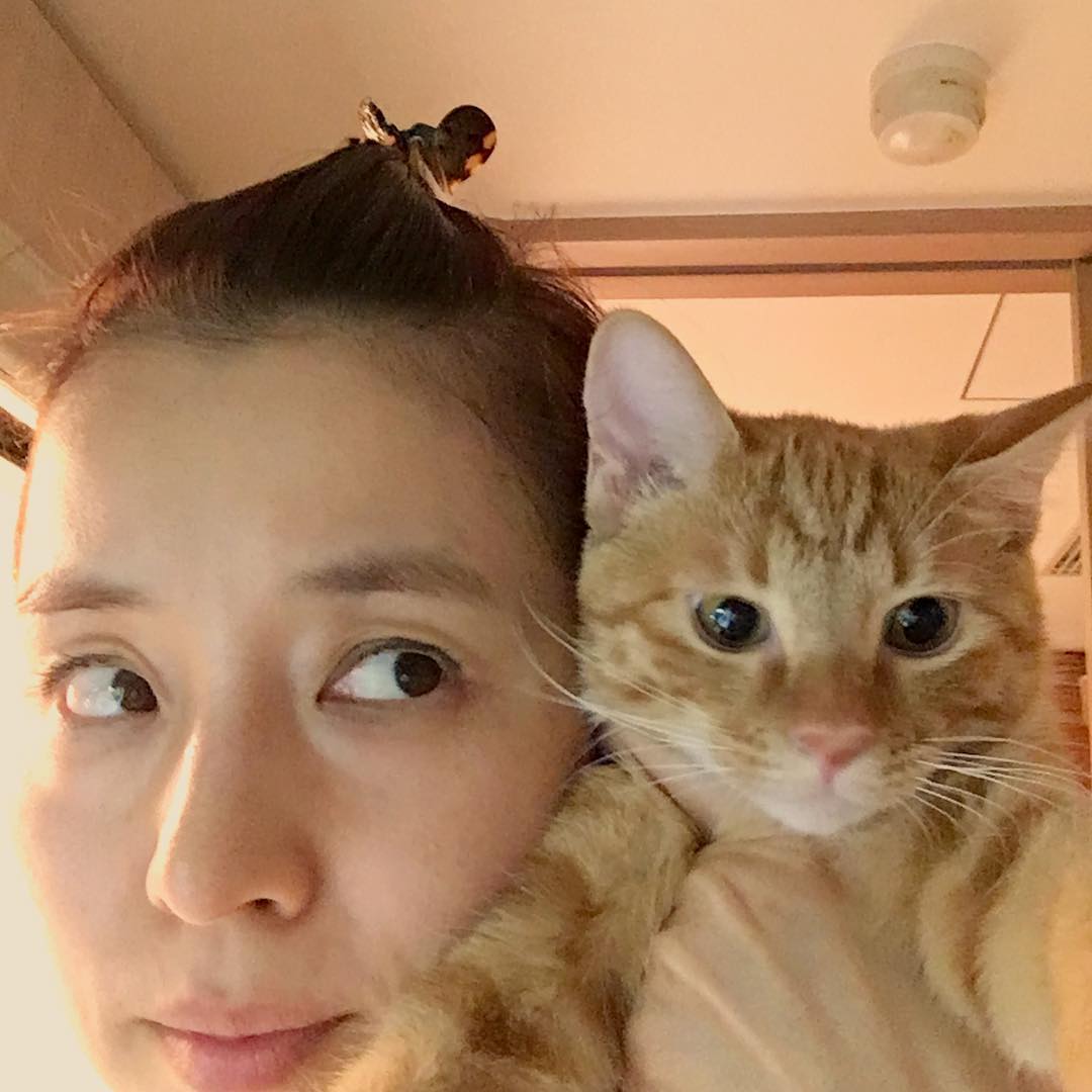 石田ゆり子 肌寒い朝は 猫で暖をとる Wacoca